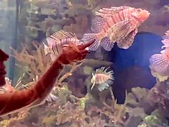 Wild ass fetish fun at aquarium
