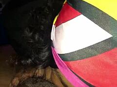 Cheating slut gets hard pounding