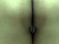 Venezolana’s Curves Drive Wild
