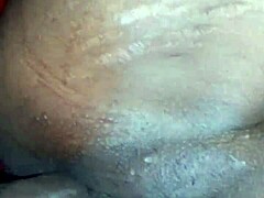 inked pornstar fucked hard in wild fun session