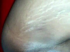 Tattooed Star Sparks Pure Laughter