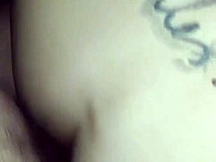 mexican delight with squirty curves
