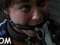 Explore intense BDSM on this platform