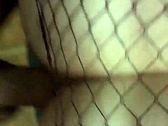 Amateur ass fucked hard on all fours