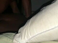 BBW's Juicy Vibe Here
