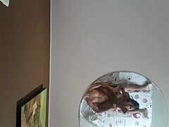 Hidden Camera Girlfriend Anal