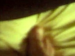 BRAZILIAN BUM SHINES