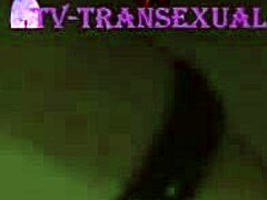 Trans beauty heats up hotel