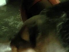 I filmed my first black cock blowjob video