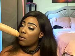 Lexo Butterfly Sucks Cock Off the Wall
