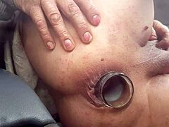 Transsexuals show off their assets