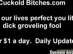 Dive Into Cuckold Play Now
