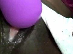 Black Beauty’s Playful Bold Toy