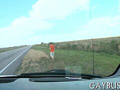 Homo Sex Xvideos Detailed Gay Encounter