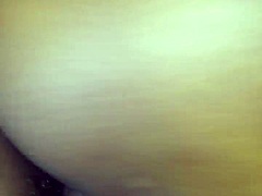 Shaved pussies in hardcore Xvids