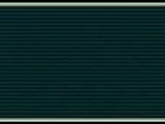 Raiohgar’s Last Hentai Moment
