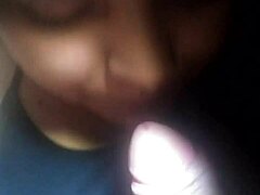 Riki's Bold Oral Display