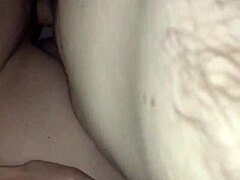 Natural Curves Bouncing With Bold Force