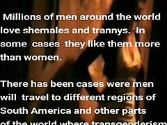 south american transgender beauty miss t