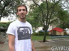 GAY INTENSITY UNLEASHED