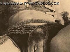 Hairy beaver British porn classics