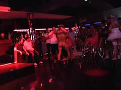 Wild English Group Passion Night