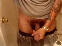 European Stud's Solo Display