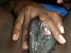 BLACK BEAUTY'S SOLO PLEASURE
