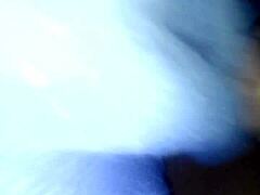 Aleycovy Sensual Delights