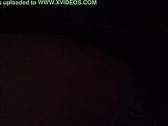black beauty's frisky tuesday clip