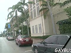 Homosexual Tumblr sex vibes 😎