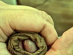 my thick penis in wild hentai action