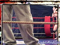 Passionate European Wrestling