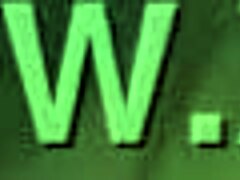 Hentai Video Gone Wild