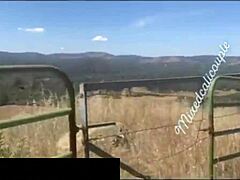Outdoor adventure with Latina hotwife