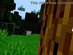 first time playing minecraft, can you tell lol