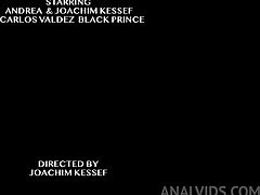 andrea, how do you handle that deep ass pounding and gaping from three huge bbc in public double penetration?