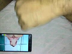 indian cock shown in close detail