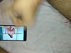 indian cock shown in close detail