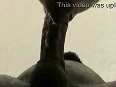 he was cumin and i kept suckin... big cum load in hairy exotic pov!