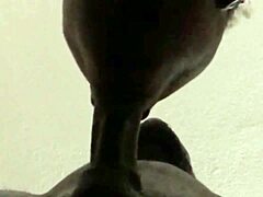 he was cumin and i kept suckin... big cum load in hairy exotic pov!