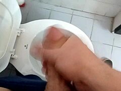 Paja matutina