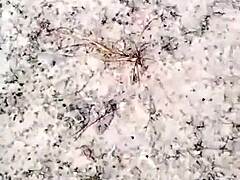 Wild Chinese Anchor Seduces Two Farmers for Stocking Threesome and Self-Pleasure!