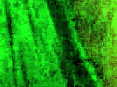 we're doing a naked photo shoot with this curvy beautiful amateur girl