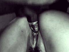 hey, did you see how chayenhy and pele vip got wild? that married bride gave her ass to the builder in the work trailer, fisting and buttplug first time.