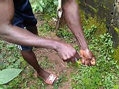 Intriguing Encounter With Plantain In Lush Garden
