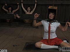 Four Angels Confined in a Small 18+ Enclosure