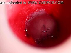 Monster Cock Fills Real Doll's Tight Anal With Best Internal Cumshot In Oiled Close-Up 4K