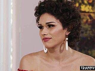 latina shemale's spicy affair