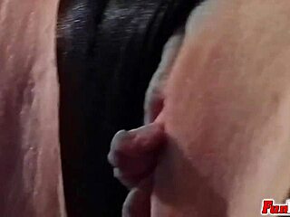 European beauty gets hardcore sex